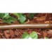 Cijev za podzemno navodnjavanje s Copper ShiedTM tehnologijom Rain Bird® XFS Dripline with Copper Shield™ / 0.33m /2,3 l/h